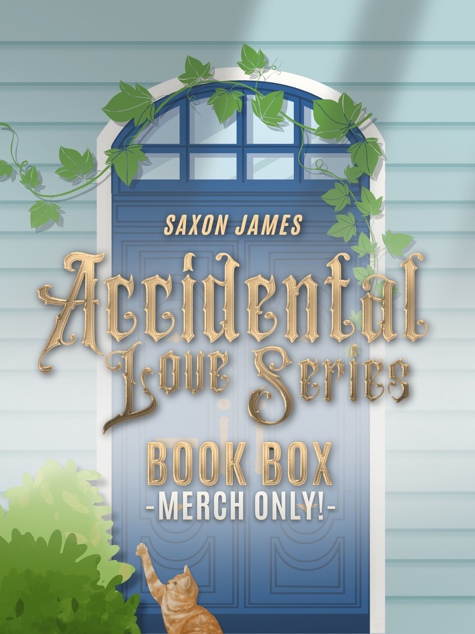 Accidental Love Book Box – Merch Only