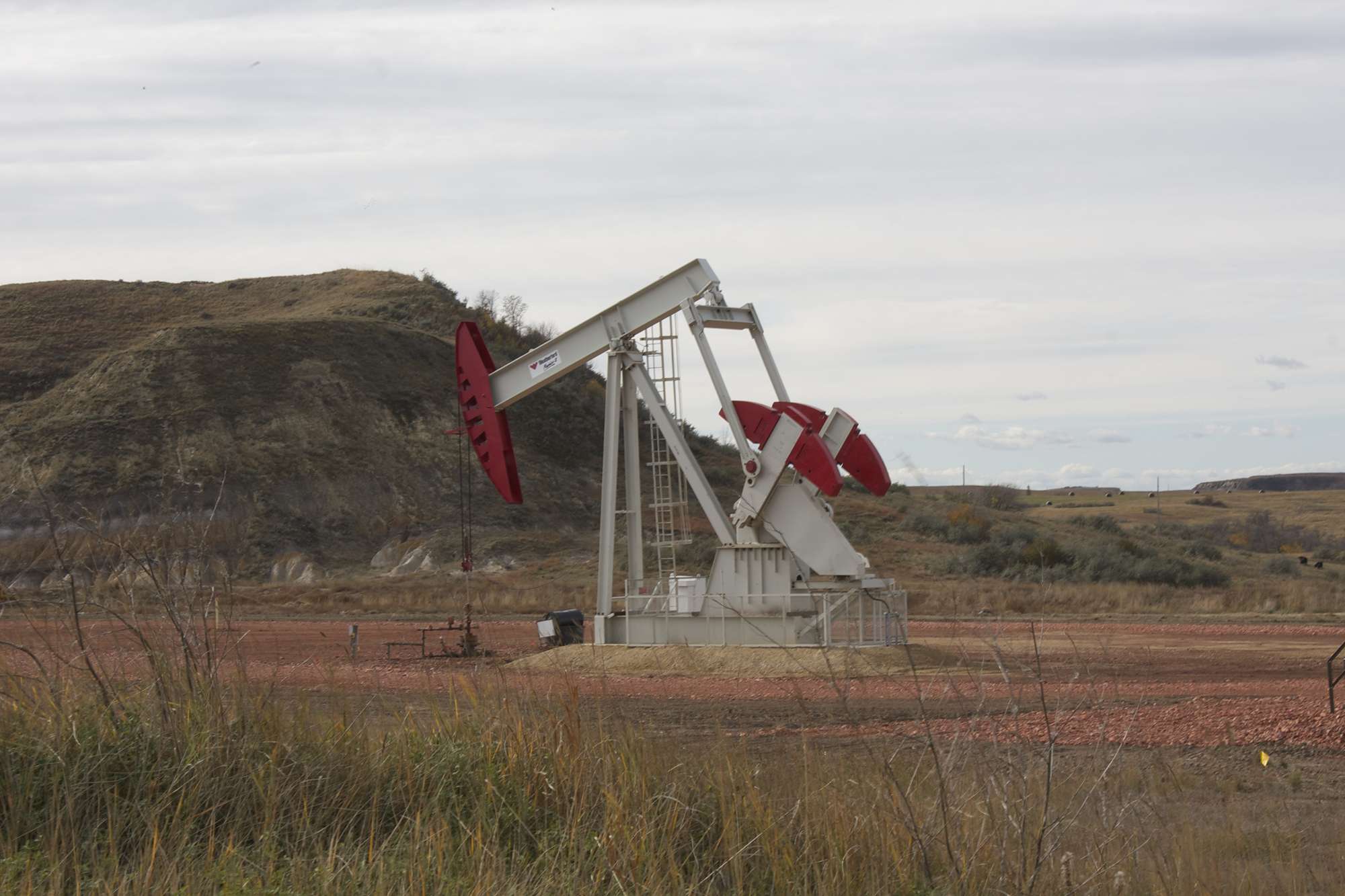 How an Oil Spill on a Hog Farm Left a Bad Taste in My Mouth