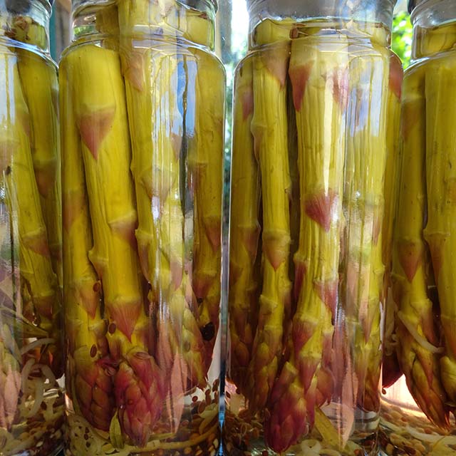 Pickled Asparagus