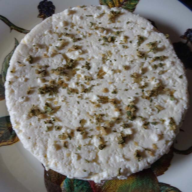 Homemade lemon cheese with a little dried garlic, onion and parsley.