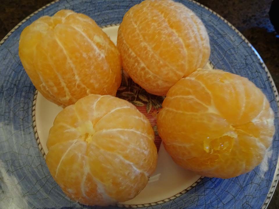 7. Oranges ;eeled.