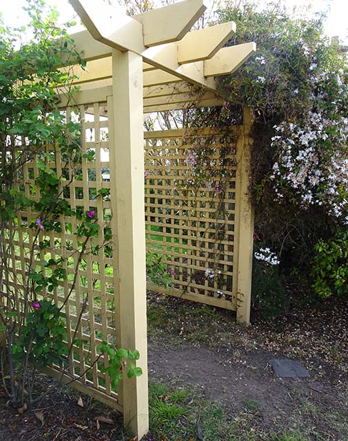 Arbour