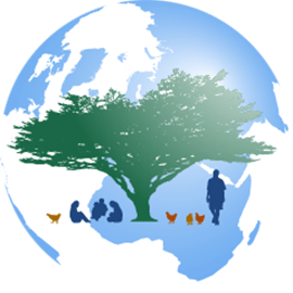 Social, Cultural u0026amp; Behavioral Issues in PHC u0026amp; Global Health