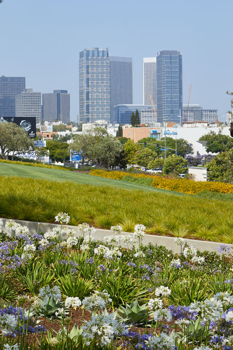 Los Angeles Temple of Jesus Christ of Latter-Day Saints
