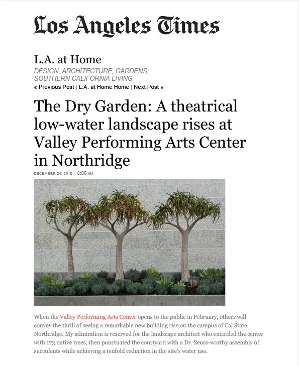 Three drought-tolerant trees with tufted canopies planted in a low-water garden beside a gray wall.