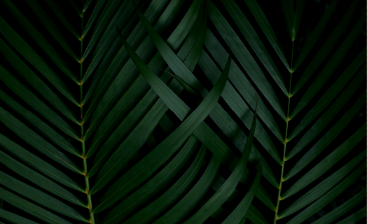 https://i0.wp.com/sc.sencodevelopers.com/wp-content/uploads/2020/03/inner_01_02.png?fit=%2C&ssl=1