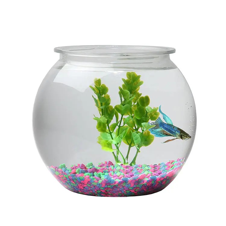 Aquarium En Forme De Colonne Cylindrique Fish Tank Aquarium Fish Tank Fish Tank For Sale 