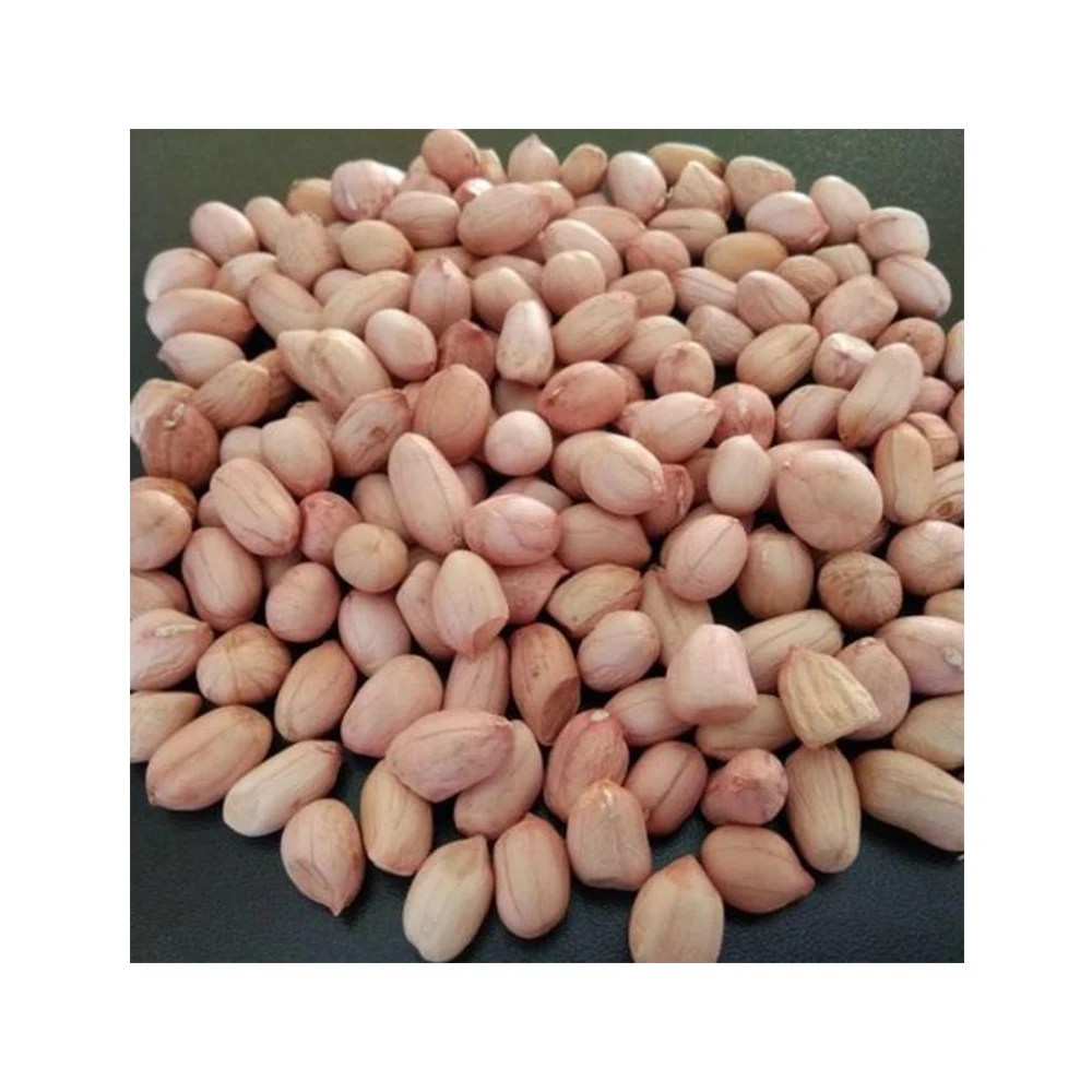 1.226.360/petani dengan nilai biaya total per hektar sebesar rp. Kacang Tanah Kering Alami Kualitas Segar Premium 100 Dengan Umur Simpan 12 Bulan Lebih Lama Buy Kacang Tanah Kacang Tanah Dijual Kacang Tanah Supplier Organik Kacang Tanah Kacang Tanah Dengan Harga