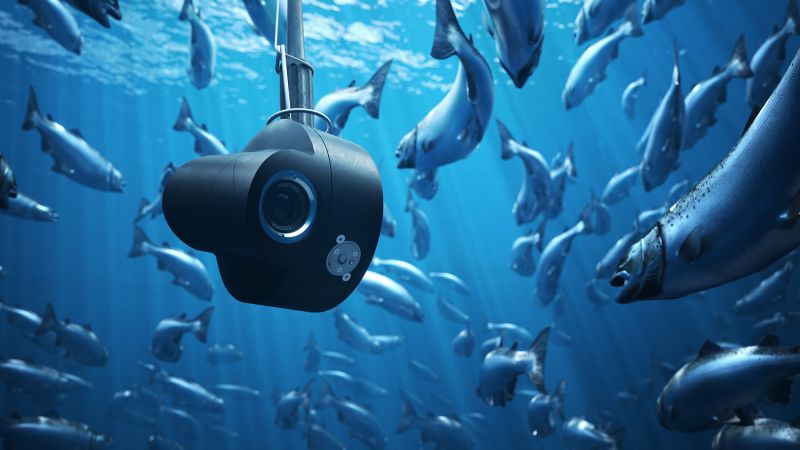 Showcase Orbit Hd - Premium Colorful Photo Gallery - Ultra HD