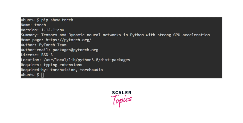 Python torch cuda install
