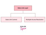 Multiple Access Protocols Scaler Topics