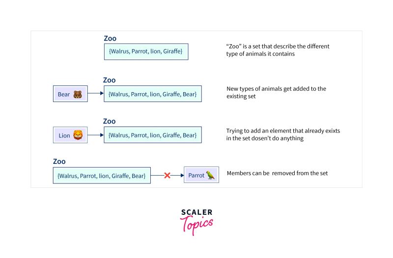 Primary Data Types In Golang Scaler Topics - Professional Nature Texture - Desktop