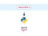 Python Self Scaler Topics