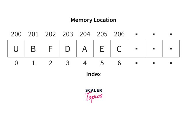 Static Data Structure - Scaler Blog