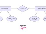 What Is The Difference Between Strong And Weak Entity In Dbms Scaler