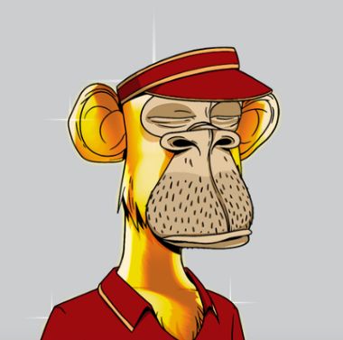 Github Lungjt Imo - Premium Ocean Wallpaper Gallery - Mobile