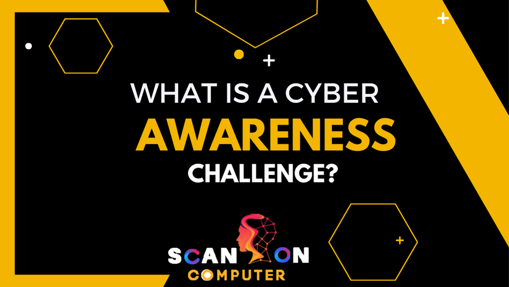 What is a cyber awareness challenge?