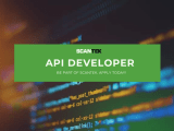 Api Developer Job Application