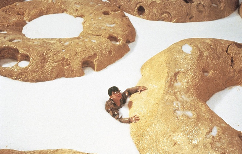 Tesoro, mi si sono ristretti i ragazzi (1989)