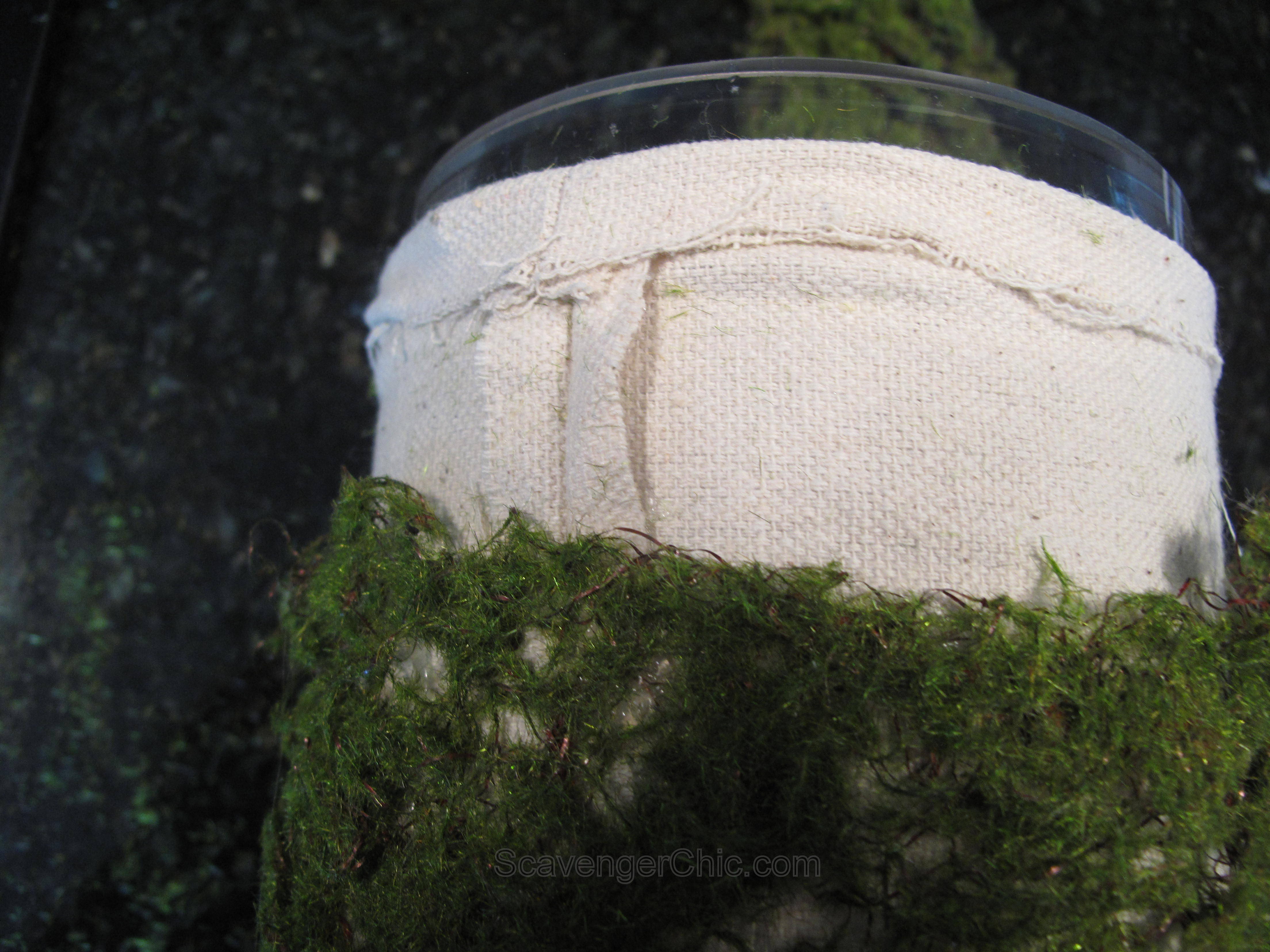 Moss Hurricane Lamp diy Scavenger Chic