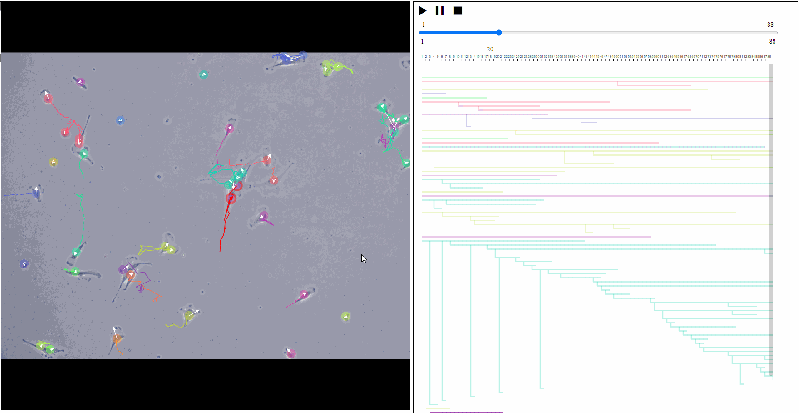 Setting View Tutorial For Celltrackvis - Perfect Desktop Colorful Backgrounds | Free Download