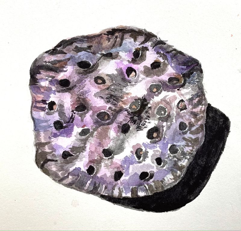 Github Nitesh267 Adf Sally - Best Abstract Images in Ultra HD