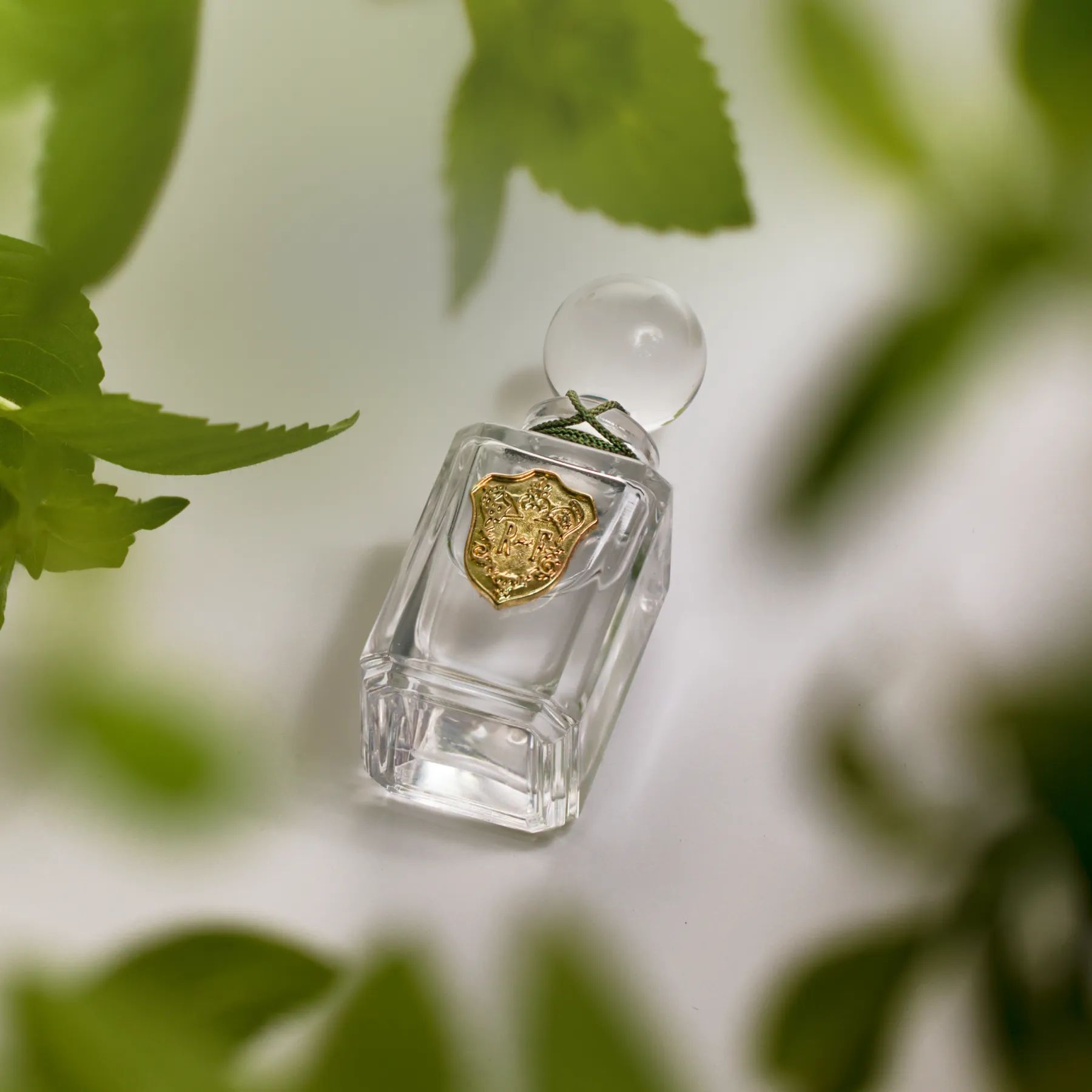 MINT LEAF (2025) &bull; REGIME DES FLEURS, ScentAdvice