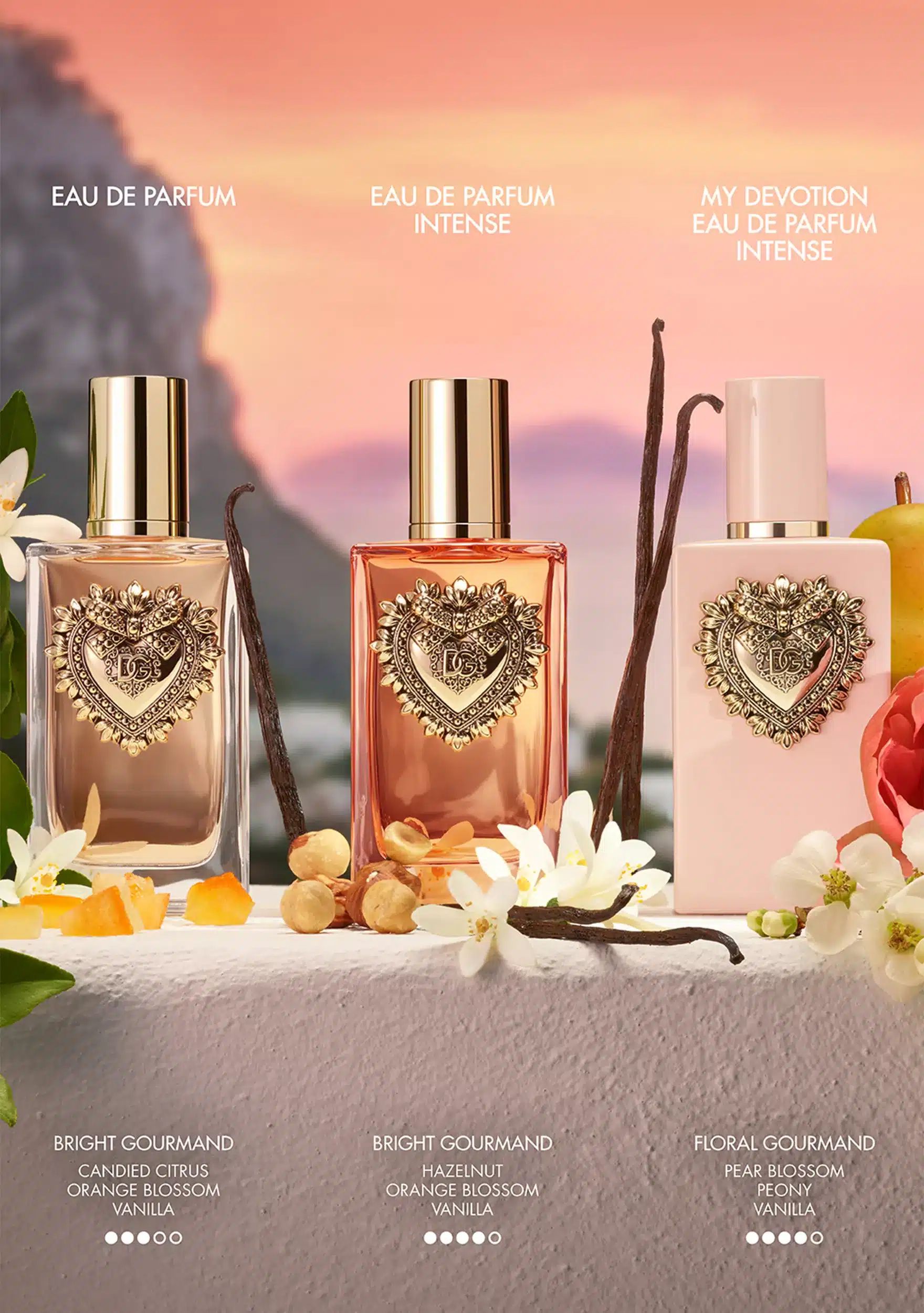MY DEVOTION (2025) &bull; DOLCE & GABBANA, ScentAdvice