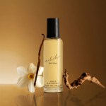 BEAUTY SECTION, ScentAdvice