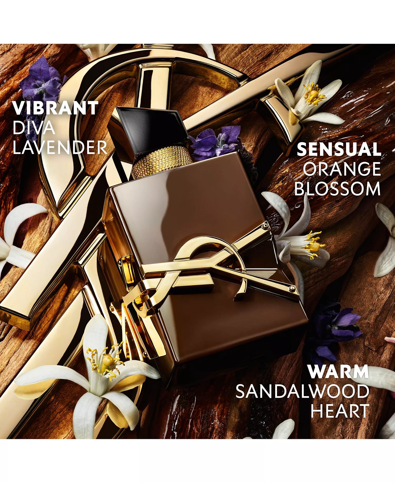 LIBRE SANTAL COUTURE (2026) &bull; YVES SAINT LAURENT, ScentAdvice