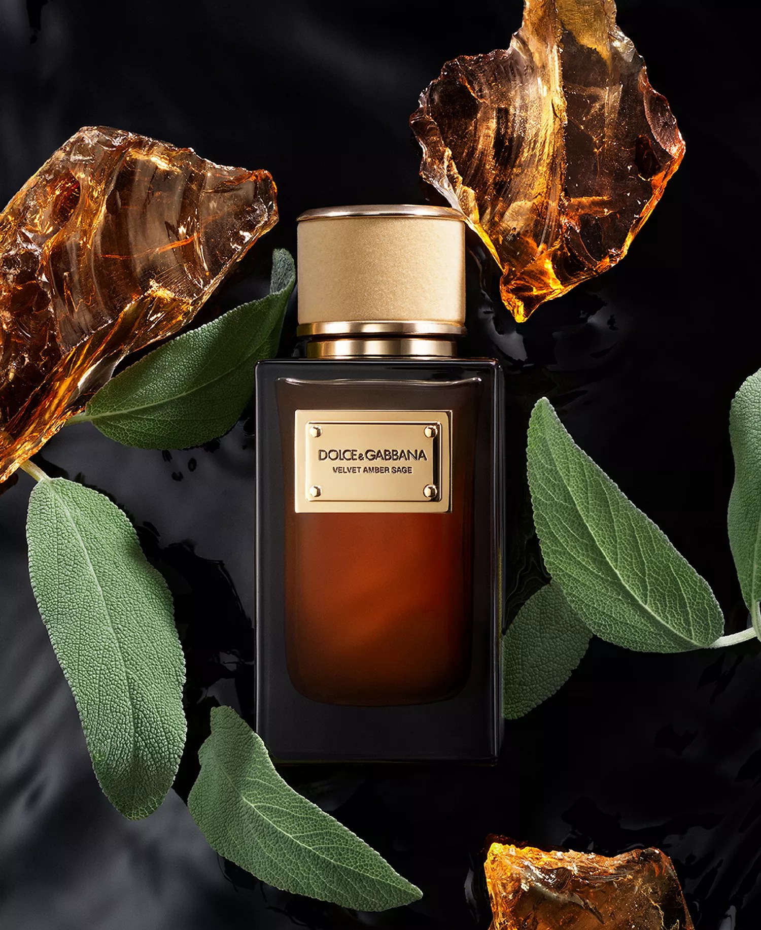 Amber Velvet Sage - Nuevo perfume Dolce & Gabbana 2026