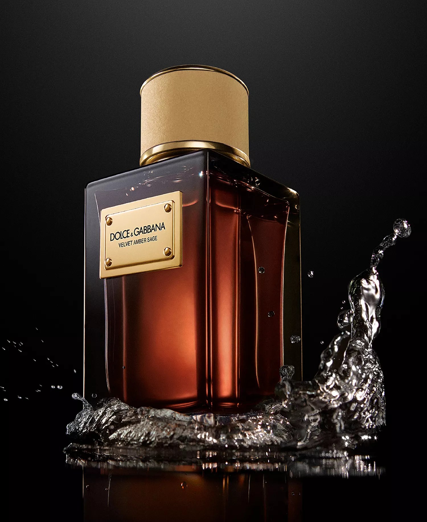 VELVET AMBER SAGE (2026) &bull; DOLCE & GABBANA, ScentAdvice