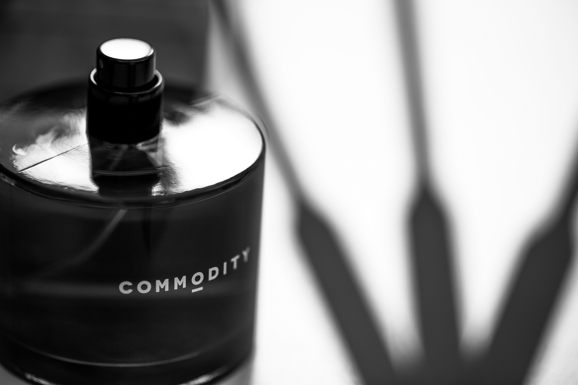 new on Scentbird: Commodity
