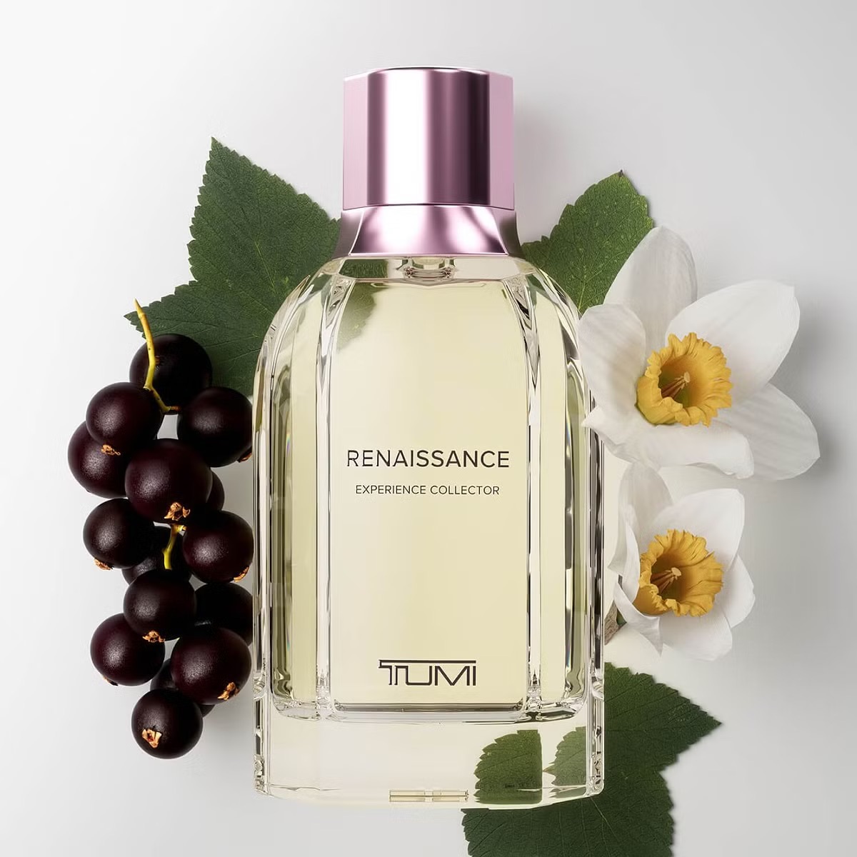 TUMI Rennaisance