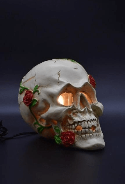 Designer Oil Warmers,  "Skull"