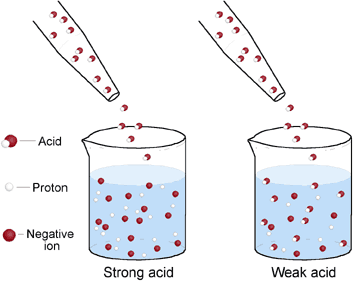 14 3 Relative Strengths Of Acids And Bases Chemistry Among one of the most appealing chemical compounds close to is humic acid.