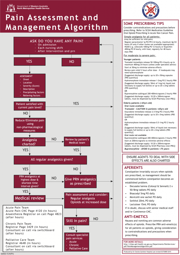 PainManagementAlgorithm