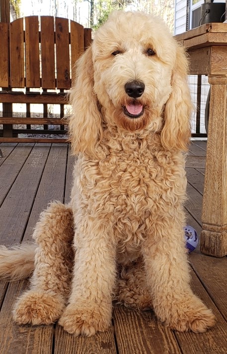 Maddie