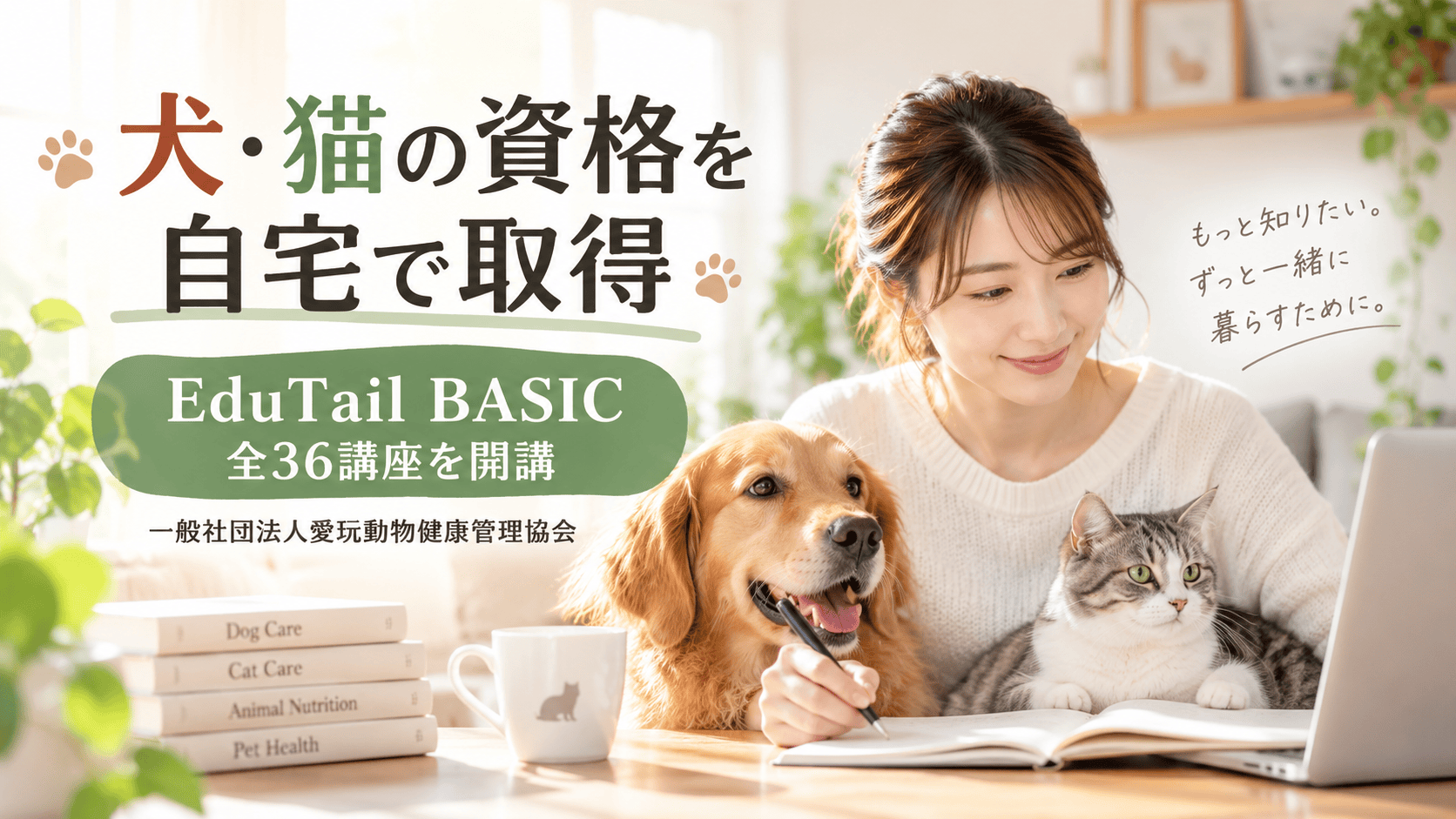 Pet certification