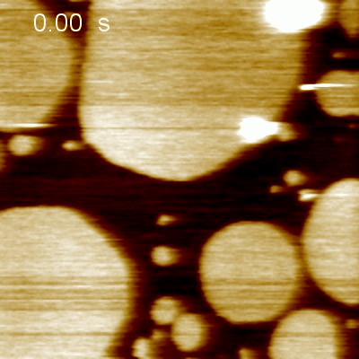 A5_NatComm2020_Movie2