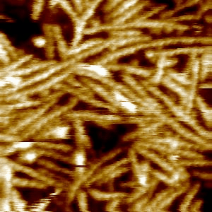 Jiao_NatComm_2020_01