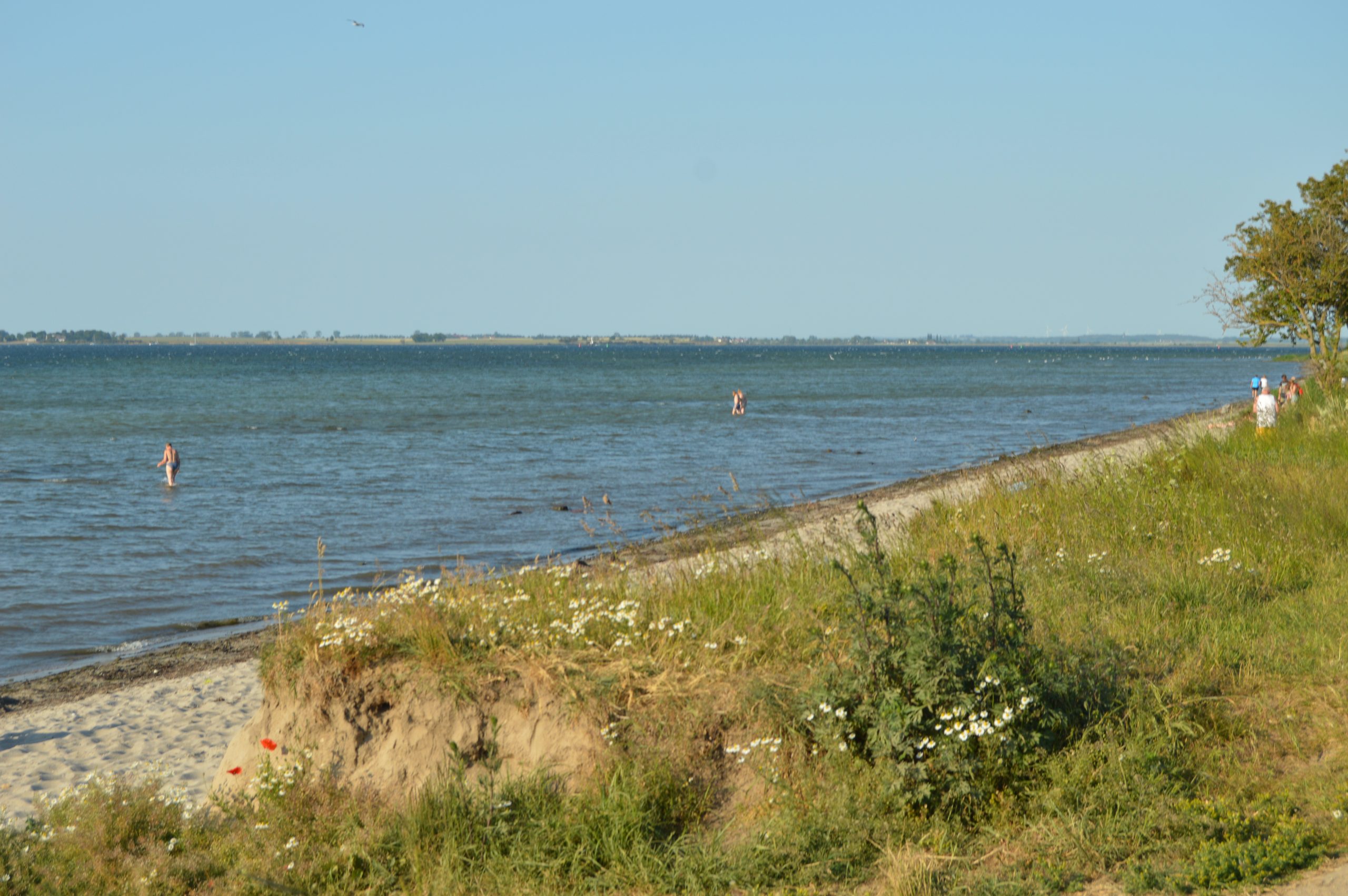 Wissmarer Bucht