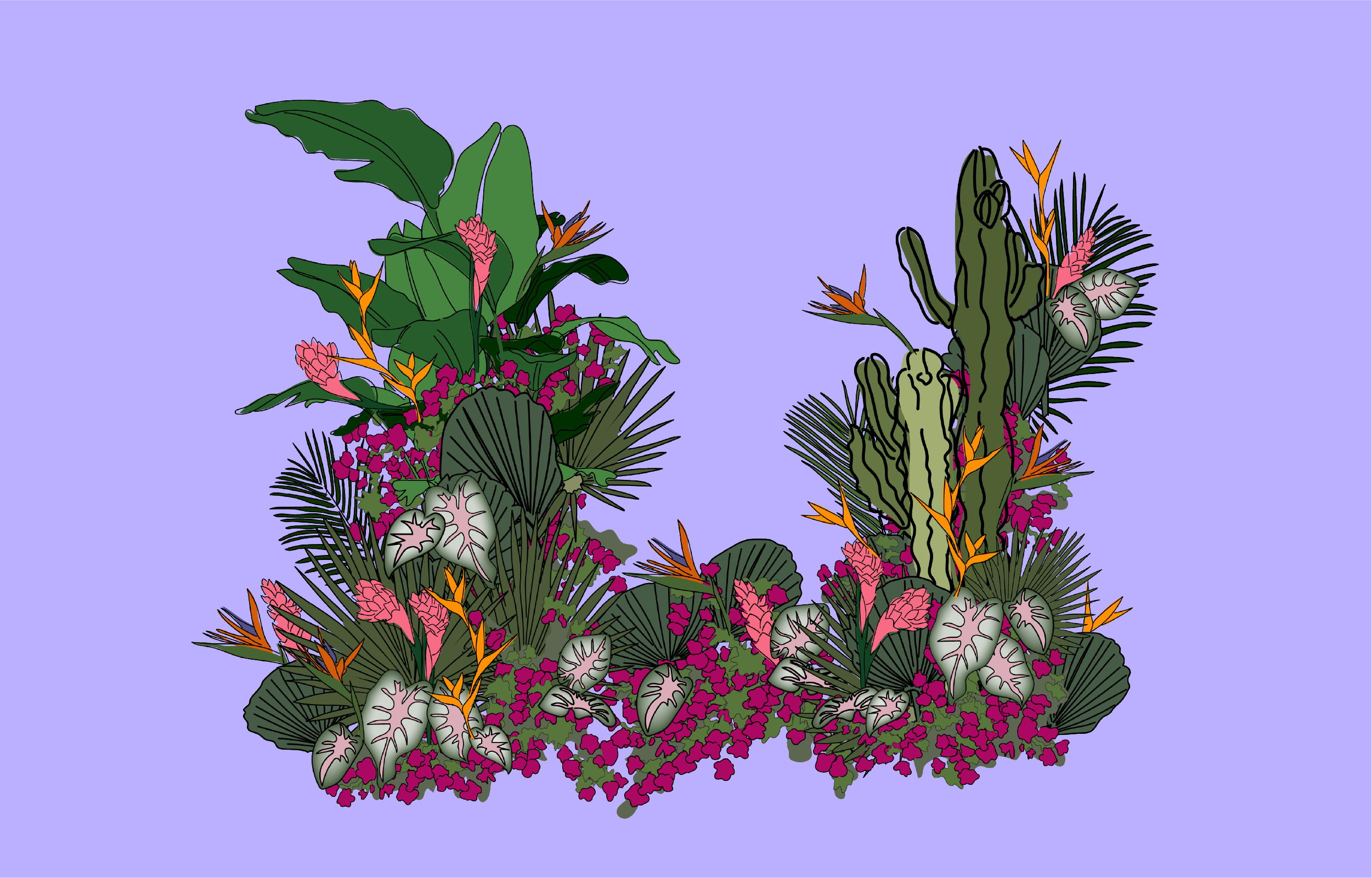 Floral Illustrations