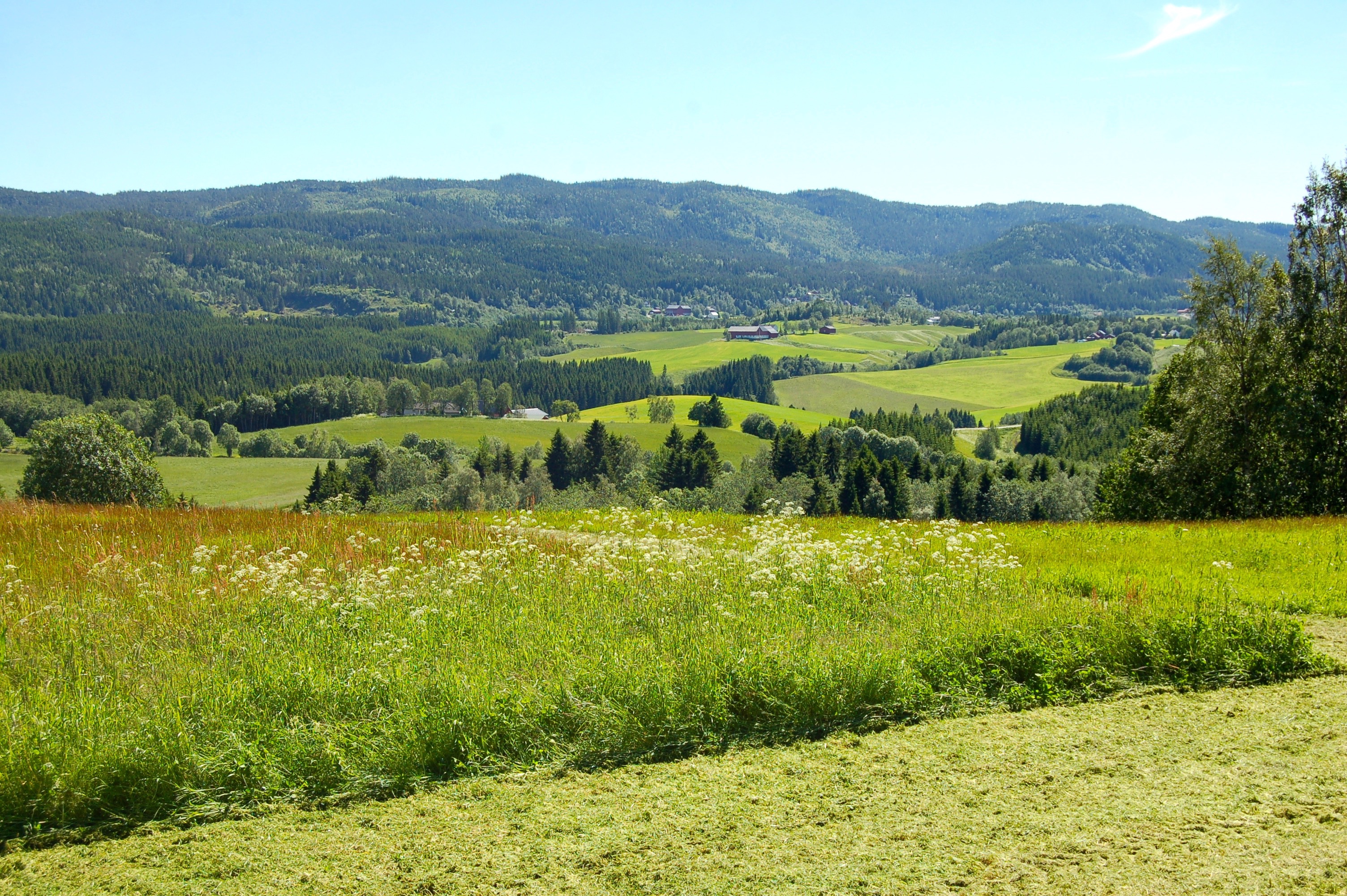 Die Umgebung von Trondheim