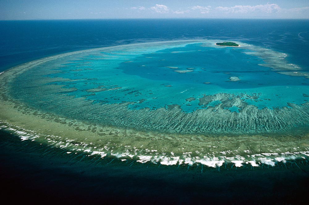 It is larger than the great wall of china and the only living thing on earth visible from space. A Bite Sized History Of The Great Barrier Reef Schmidt Ocean Institute