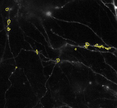 Fiji Plugin Synactj - Best Space Illustrations in HD