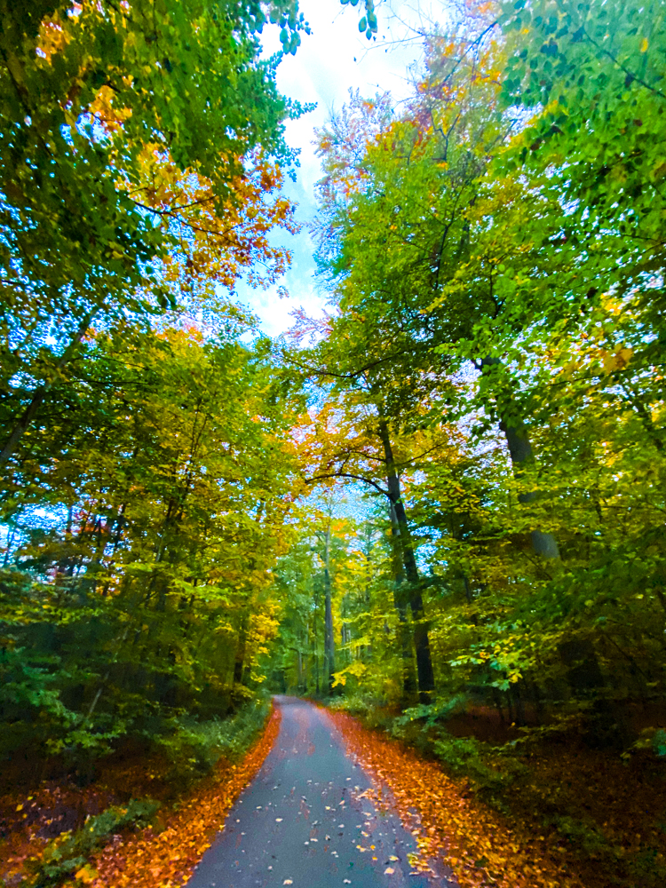 Herbst in der Stadt Gera
