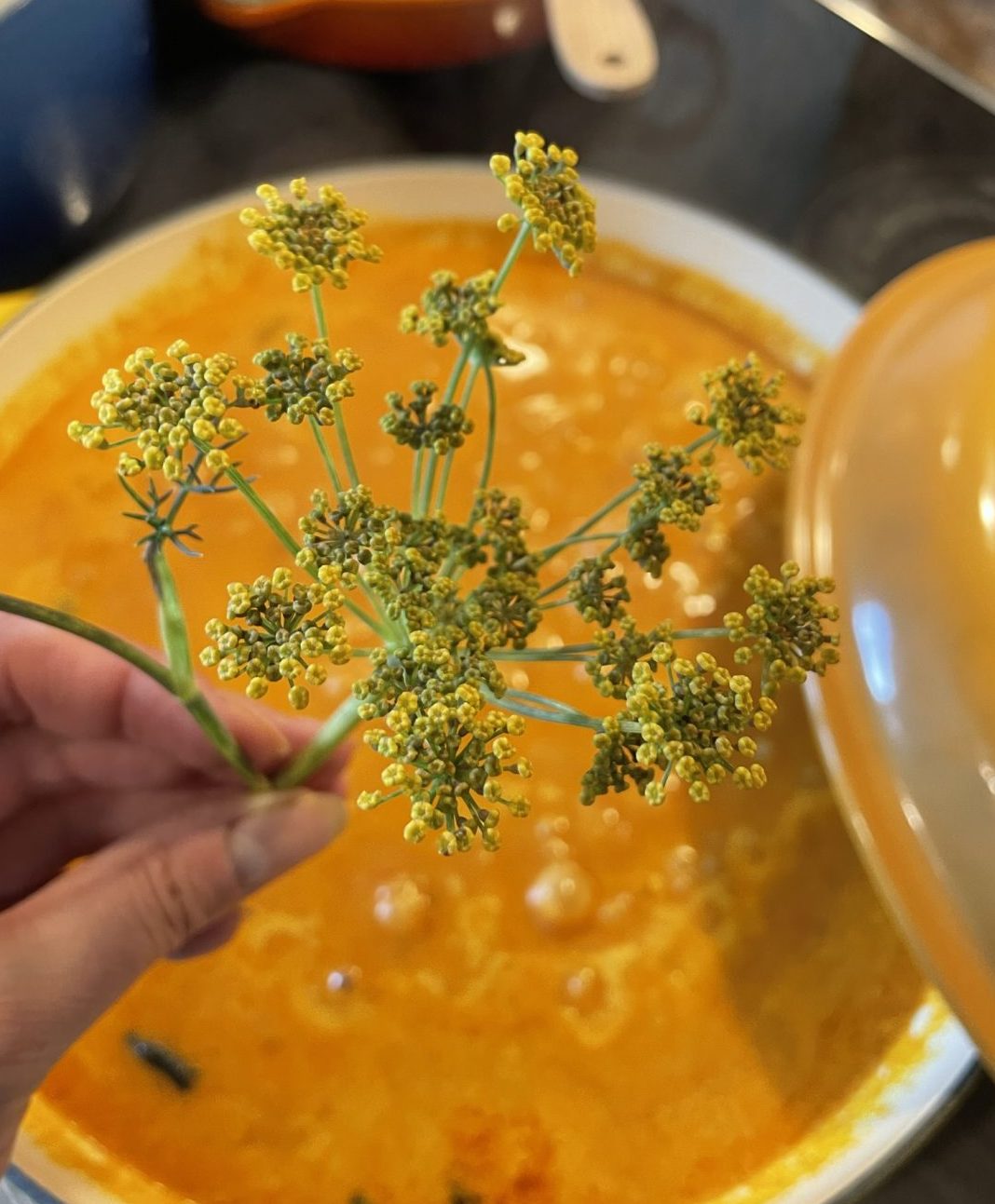 Als besonderer Geschmack noch eine Fenchel Blüte.