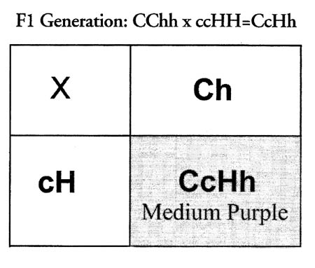 Jars V59n4 What S The Difference Between F1 And F2