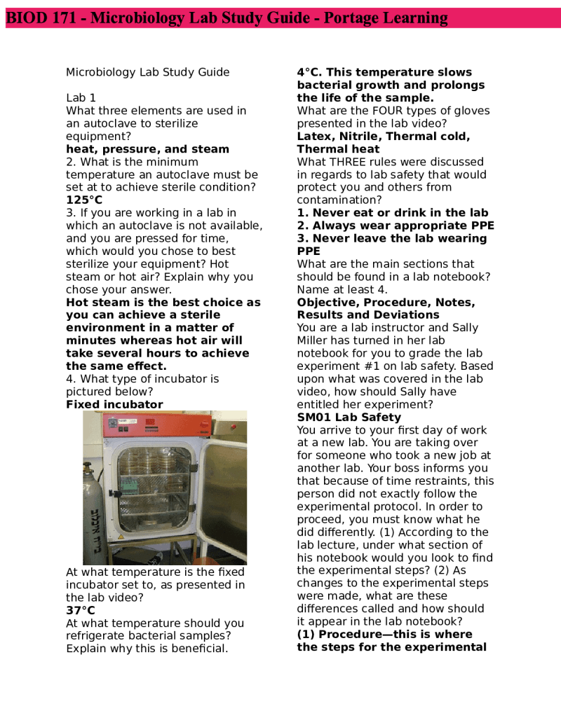 Microbiology Study Guide - Perfect Ocean Texture - HD